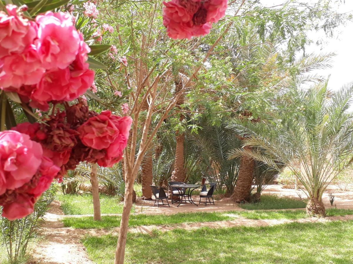 Bed and Breakfast Dar Paru M’hamid El Ghizlane Exterior foto