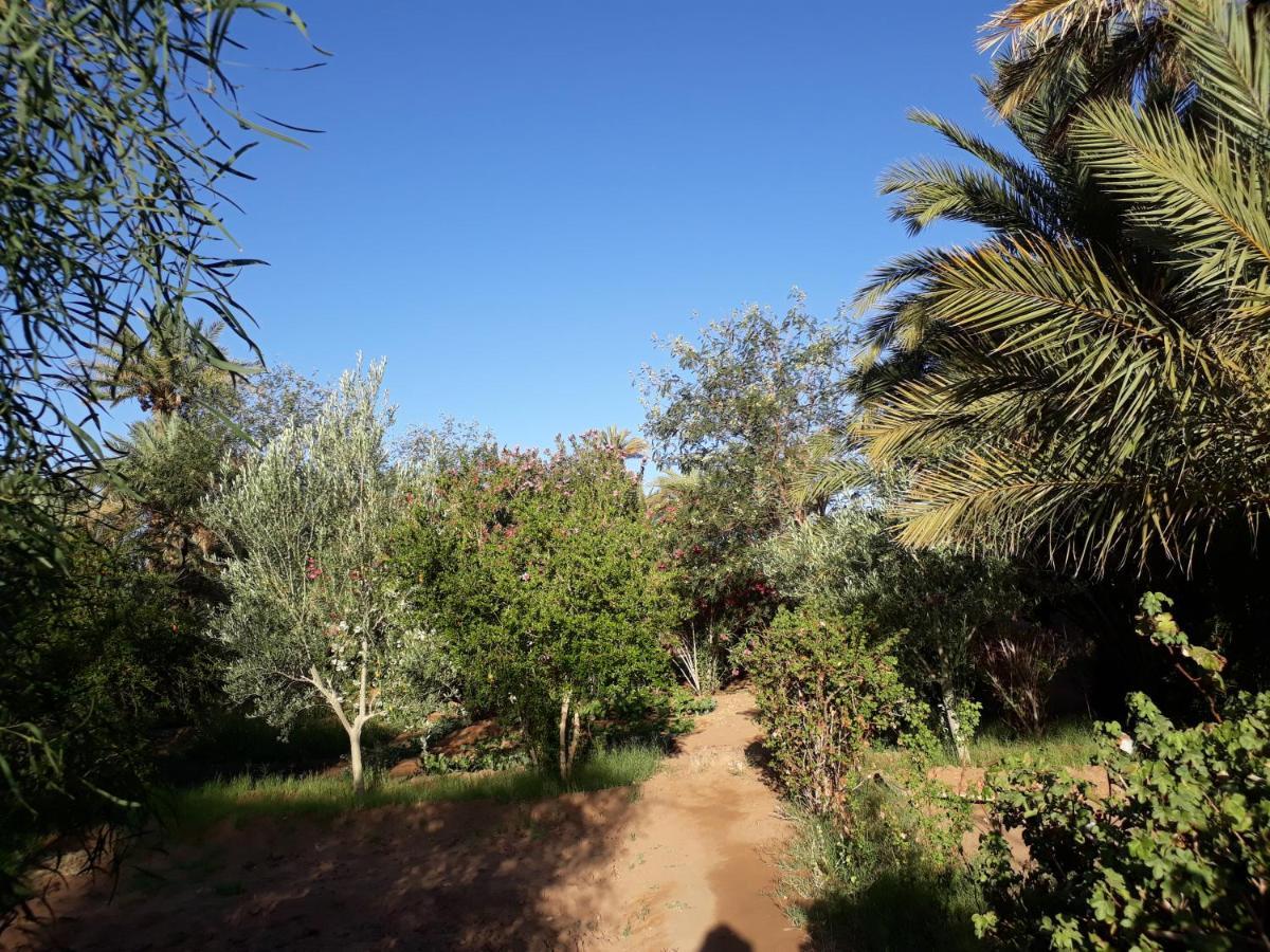 Bed and Breakfast Dar Paru M’hamid El Ghizlane Exterior foto