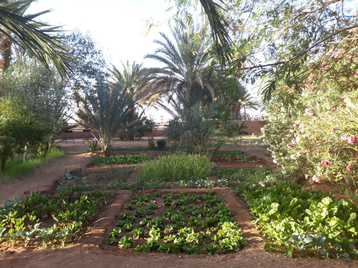 Bed and Breakfast Dar Paru M’hamid El Ghizlane Exterior foto