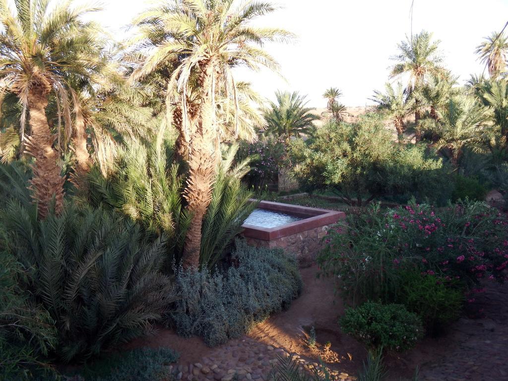 Bed and Breakfast Dar Paru M’hamid El Ghizlane Exterior foto