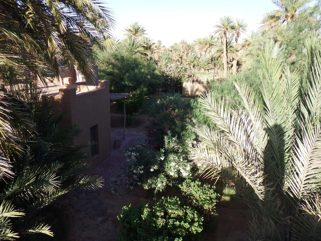 Bed and Breakfast Dar Paru M’hamid El Ghizlane Exterior foto