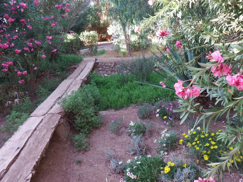 Bed and Breakfast Dar Paru M’hamid El Ghizlane Exterior foto