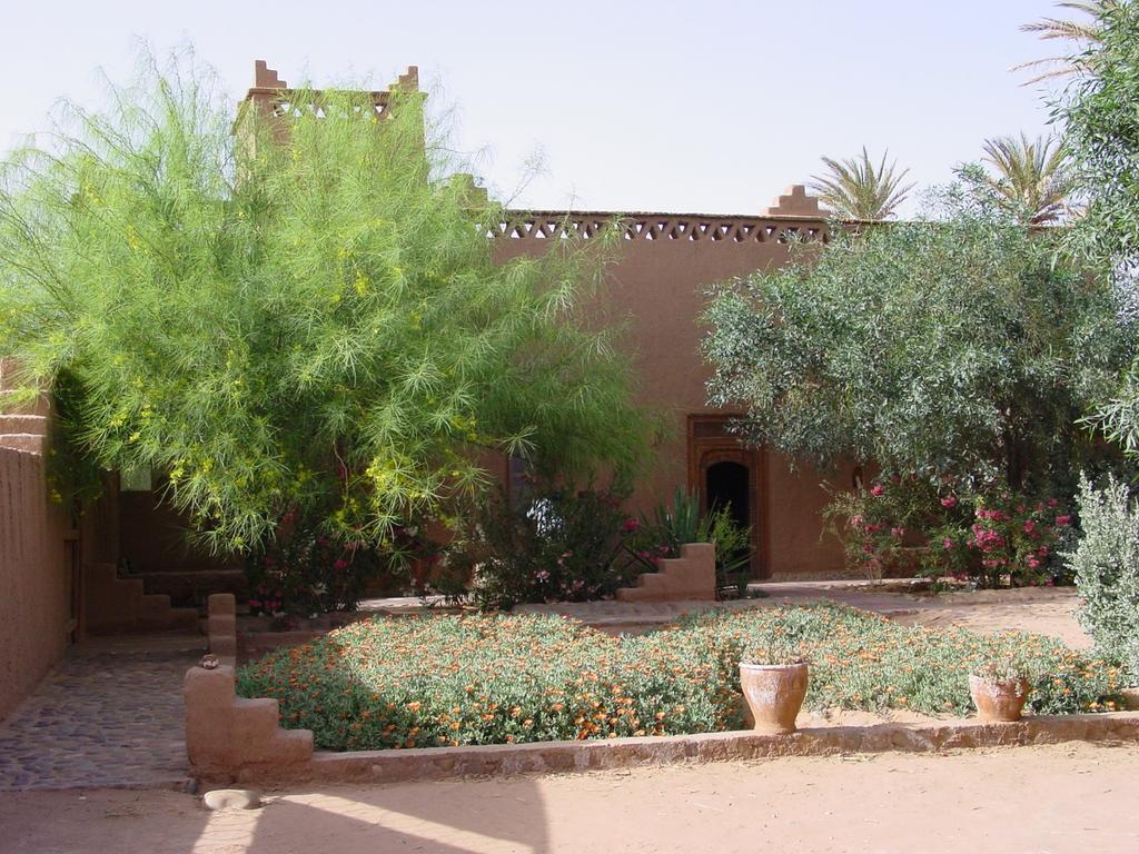 Bed and Breakfast Dar Paru M’hamid El Ghizlane Exterior foto