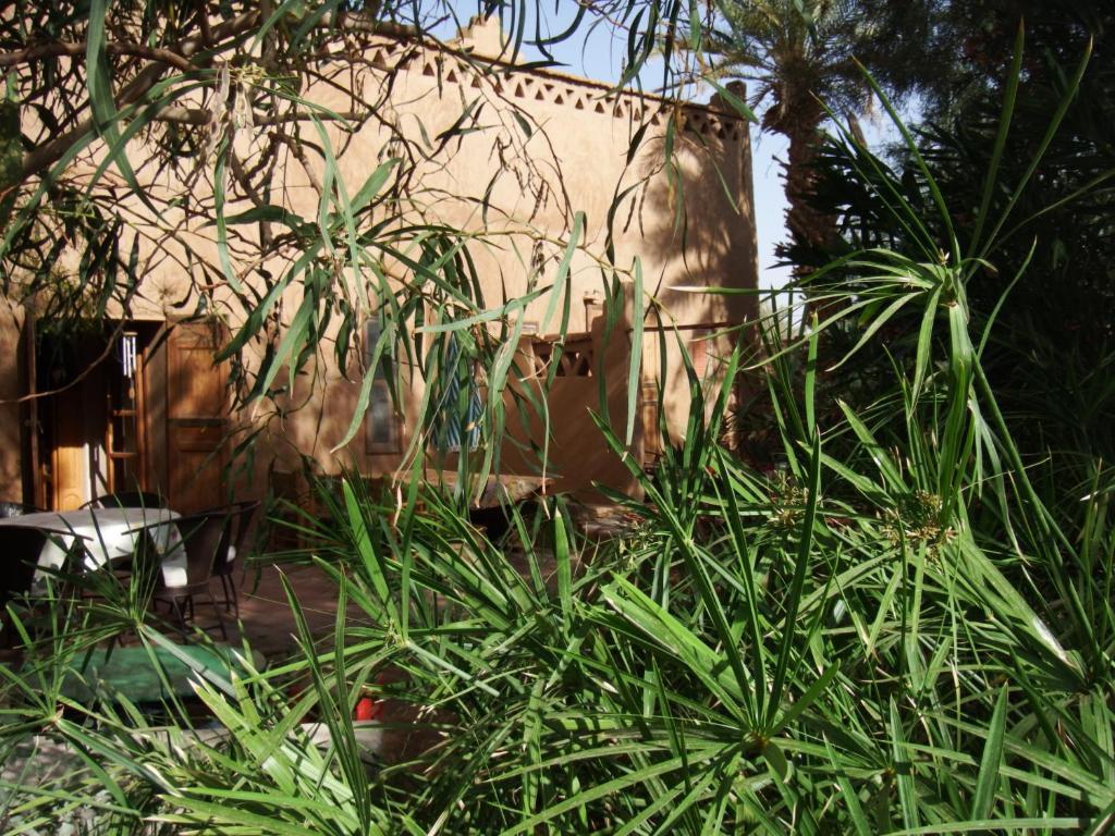 Bed and Breakfast Dar Paru M’hamid El Ghizlane Exterior foto
